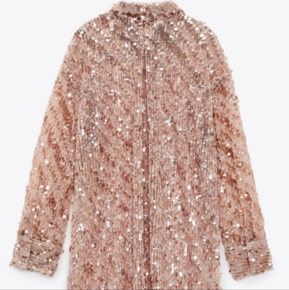 Zara Sequins Shirt Dress